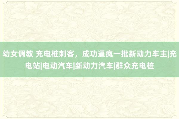 幼女调教 充电桩刺客，成功逼疯一批新动力车主|充电站|电动汽车|新动力汽车|群众充电桩