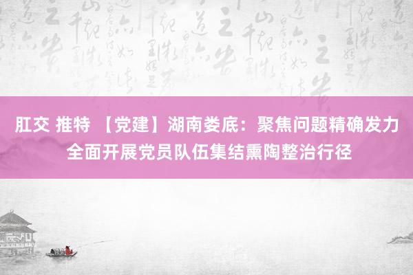 肛交 推特 【党建】湖南娄底：聚焦问题精确发力 全面开展党员队伍集结熏陶整治行径