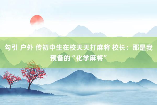 勾引 户外 传初中生在校天天打麻将 校长：那是我预备的“化学麻将”