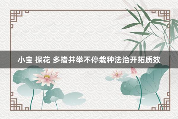 小宝 探花 多措并举不停栽种法治开拓质效