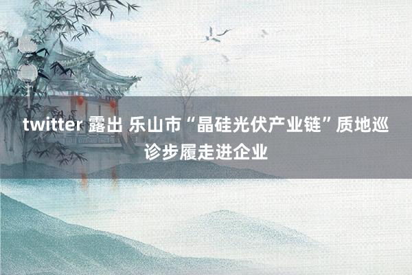 twitter 露出 乐山市“晶硅光伏产业链”质地巡诊步履走进企业