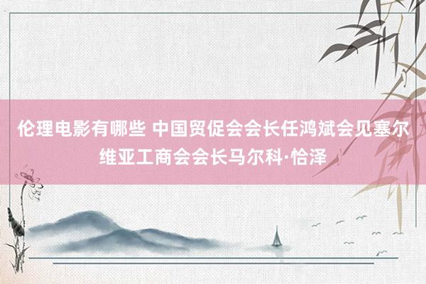 伦理电影有哪些 中国贸促会会长任鸿斌会见塞尔维亚工商会会长马尔科·恰泽